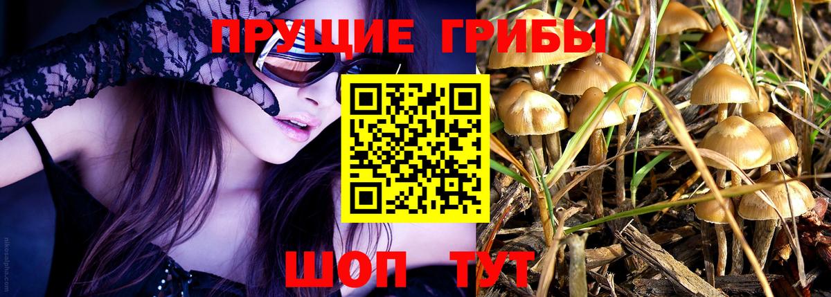 Галлюциногенные грибы Psilocybine cubensis  Вход с VPN  Михайловск 