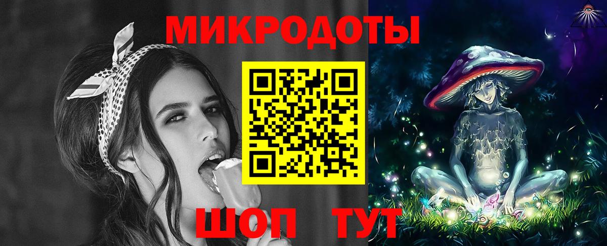 Галлюциногенные грибы Psilocybine cubensis Михайловск